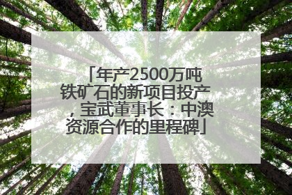 年产2500万吨铁矿石的新项目投产，宝武董事长：中澳资源合作的里程碑