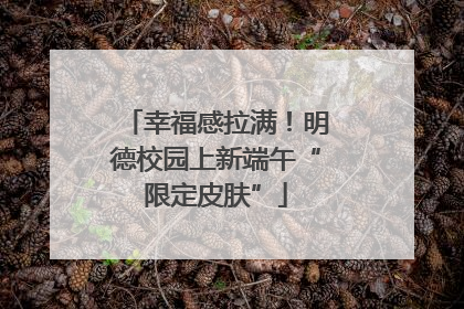 幸福感拉满！明德校园上新端午“限定皮肤”