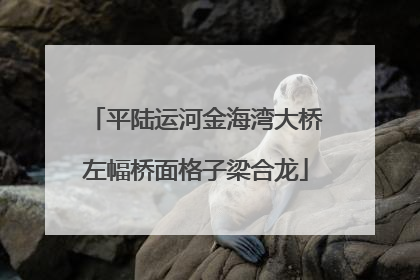 平陆运河金海湾大桥左幅桥面格子梁合龙