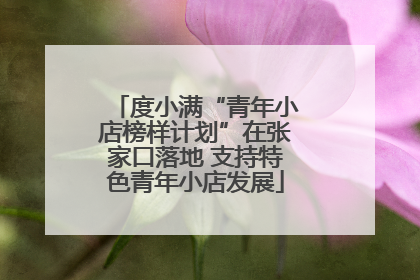 度小满“青年小店榜样计划”在张家口落地 支持特色青年小店发展