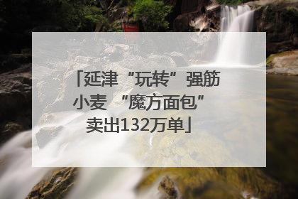 延津“玩转”强筋小麦 “魔方面包”卖出132万单