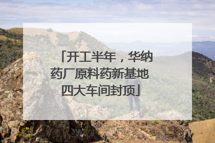 开工半年，华纳药厂原料药新基地四大车间封顶