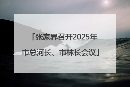 张家界召开2025年市总河长、市林长会议