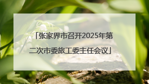 张家界市召开2025年第二次市委旅工委主任会议