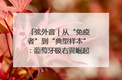 弦外音｜从“免疫者”到“典型样本”：葡萄牙极右翼崛起背后的欧洲困局