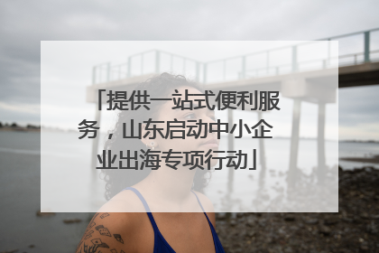提供一站式便利服务，山东启动中小企业出海专项行动