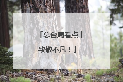 总台周看点丨致敬不凡！