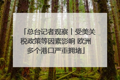 总台记者观察丨受美关税政策等因素影响 欧洲多个港口严重拥堵