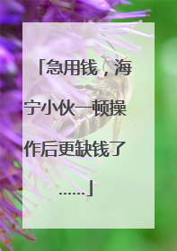 急用钱，海宁小伙一顿操作后更缺钱了……