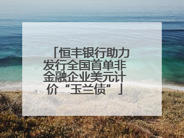 恒丰银行助力发行全国首单非金融企业美元计价“玉兰债”