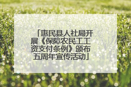 惠民县人社局开展《保障农民工工资支付条例》颁布五周年宣传活动