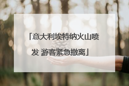 意大利埃特纳火山喷发 游客紧急撤离
