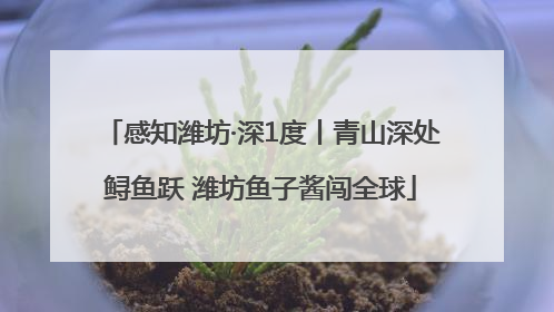 感知潍坊·深1度丨青山深处鲟鱼跃 潍坊鱼子酱闯全球