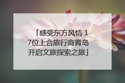 感受东方风情 17位上合旅行商青岛开启文旅探索之旅