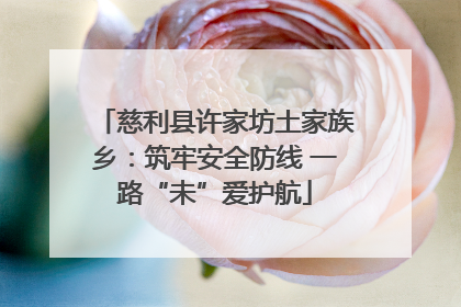 慈利县许家坊土家族乡：筑牢安全防线 一路“未”爱护航