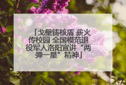 戈壁铸核盾 薪火传校园 全国模范退役军人洛阳宣讲“两弹一星”精神