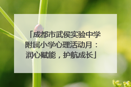 成都市武侯实验中学附属小学心理活动月：润心赋能，护航成长