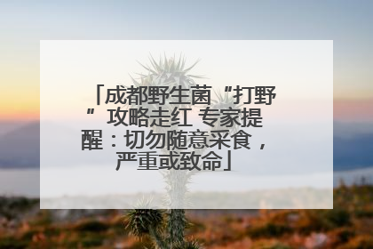 成都野生菌“打野”攻略走红 专家提醒：切勿随意采食，严重或致命