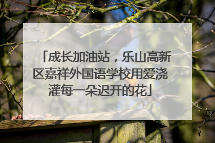成长加油站，乐山高新区嘉祥外国语学校用爱浇灌每一朵迟开的花