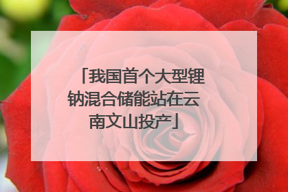 我国首个大型锂钠混合储能站在云南文山投产