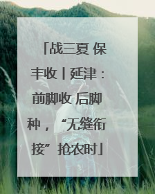 战三夏 保丰收丨延津：前脚收 后脚种，“无缝衔接”抢农时