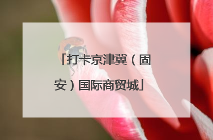 打卡京津冀（固安）国际商贸城