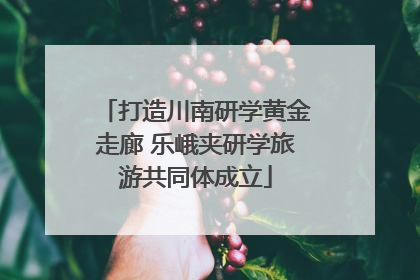打造川南研学黄金走廊 乐峨夹研学旅游共同体成立
