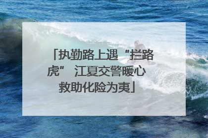 执勤路上遇“拦路虎” 江夏交警暖心救助化险为夷