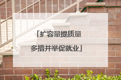 扩容量提质量 多措并举促就业