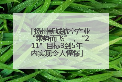 扬州新城航空产业“乘势而飞”，“211”目标3到5年内实现令人憧憬