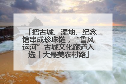 把古城、湿地、纪念馆串成珍珠链，“鲁风运河”古城文化廊道入选十大最美农村路