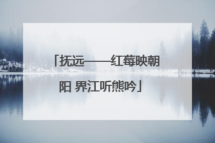 抚远——红莓映朝阳 界江听熊吟