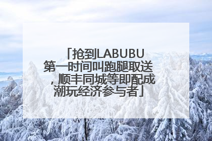 抢到LABUBU第一时间叫跑腿取送，顺丰同城等即配成潮玩经济参与者