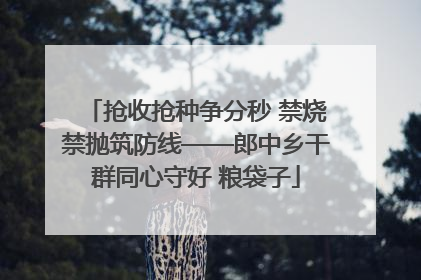 抢收抢种争分秒 禁烧禁抛筑防线——郎中乡干群同心守好 粮袋子