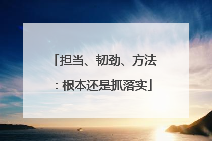 担当、韧劲、方法：根本还是抓落实