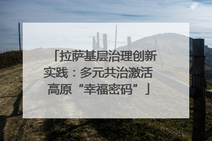 拉萨基层治理创新实践：多元共治激活高原“幸福密码”