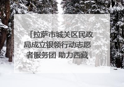 拉萨市城关区民政局成立银领行动志愿者服务团 助力西藏银发经济发展