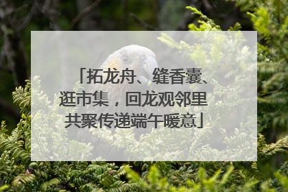 拓龙舟、缝香囊、逛市集，回龙观邻里共聚传递端午暖意