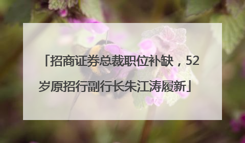 招商证券总裁职位补缺，52岁原招行副行长朱江涛履新