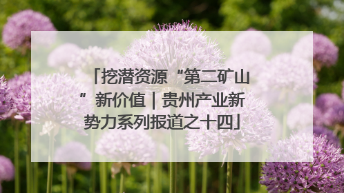 挖潜资源“第二矿山”新价值｜贵州产业新势力系列报道之十四
