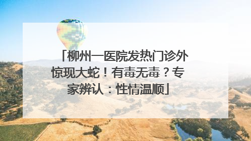 柳州一医院发热门诊外惊现大蛇！有毒无毒？专家辨认：性情温顺