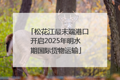 松花江最末端港口开启2025年明水期国际货物运输