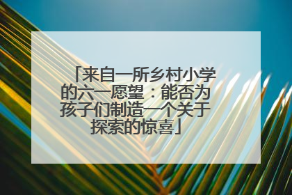 来自一所乡村小学的六一愿望：能否为孩子们制造一个关于探索的惊喜