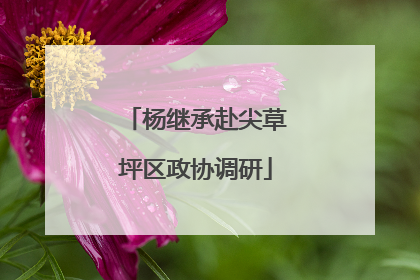 杨继承赴尖草坪区政协调研