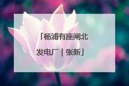 杨浦有座闸北发电厂｜张新