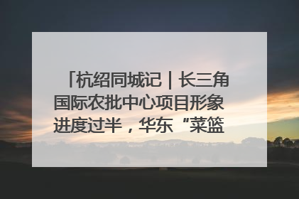杭绍同城记｜长三角国际农批中心项目形象进度过半，华东“菜篮子”建设加码提速！