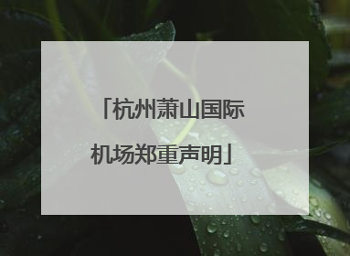 杭州萧山国际机场郑重声明