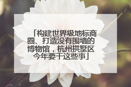 构建世界级地标商圈、打造没有围墙的博物馆，杭州拱墅区今年要干这些事