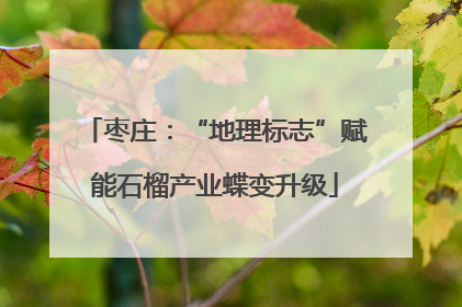 枣庄：“地理标志”赋能石榴产业蝶变升级