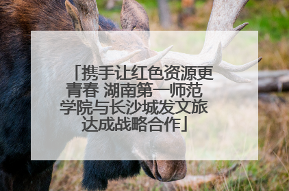 携手让红色资源更青春 湖南第一师范学院与长沙城发文旅达成战略合作